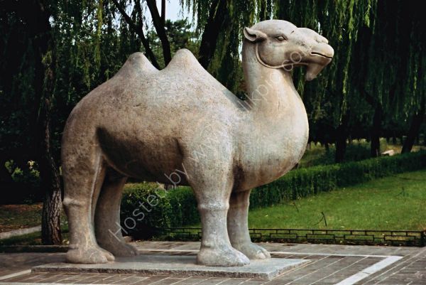 Stone Camel, Sacred Way, Ming Tombs, Beijing